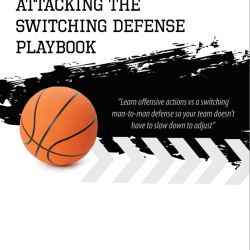 attacking switching defenses